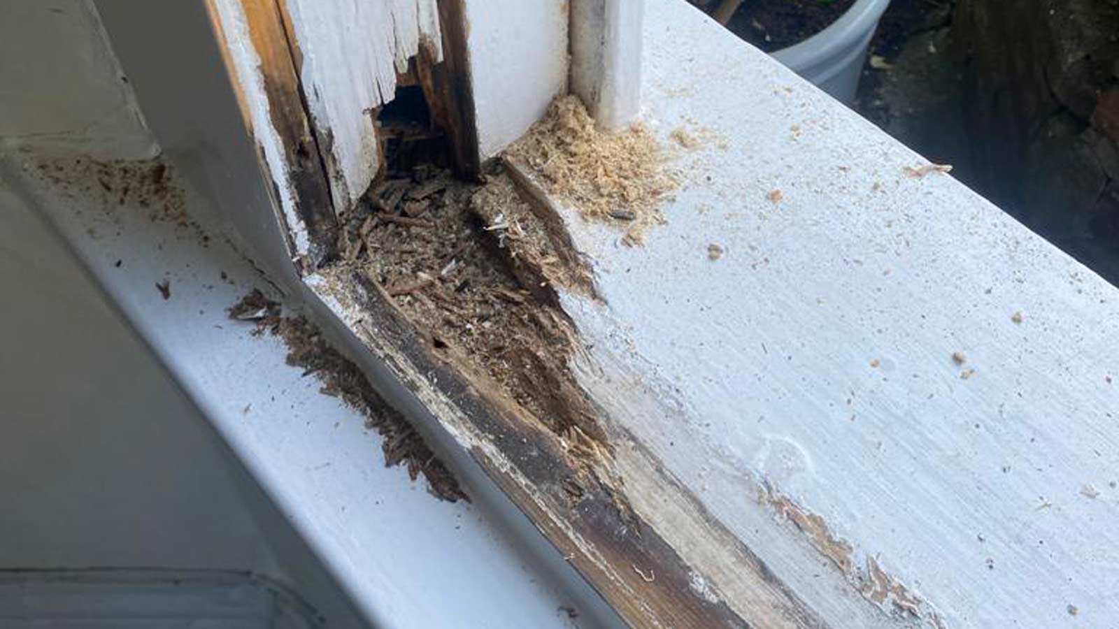 Close-up of vertical timber frame rot on a sash window in Portishead Old Town