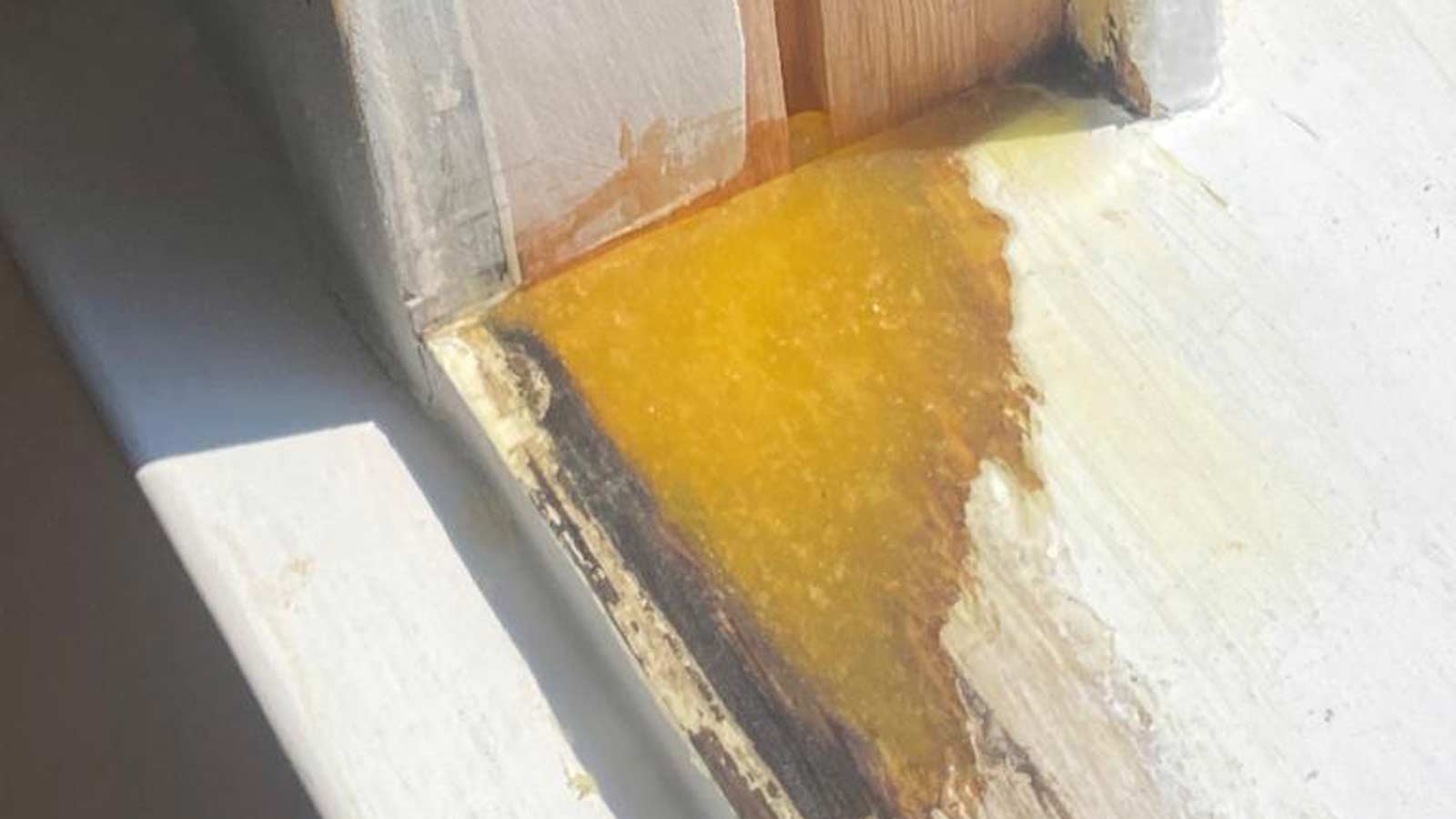 Preparation of a timber sash window sill prior to repair work in Yatton